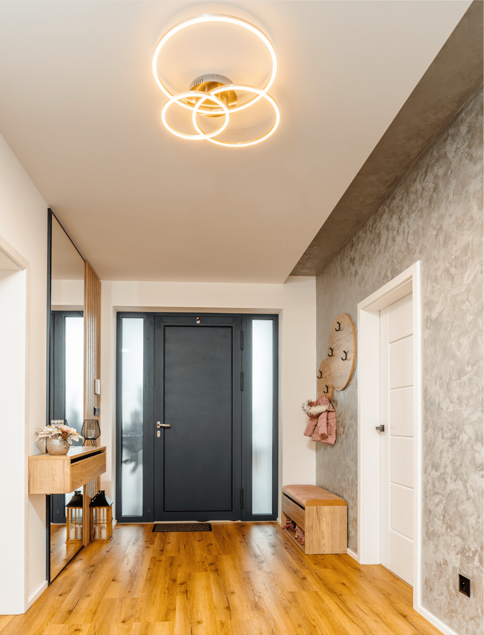 ENTRANCE HALL Ceiling check-in Entrance hall ceiling check-in photograph