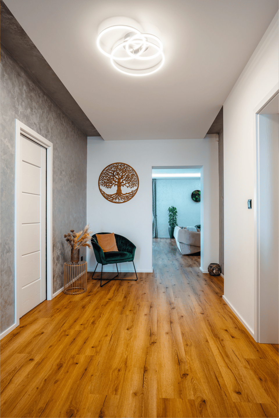 ENTRANCE HALL Ceiling check-out Entrance hall ceiling check-out photograph