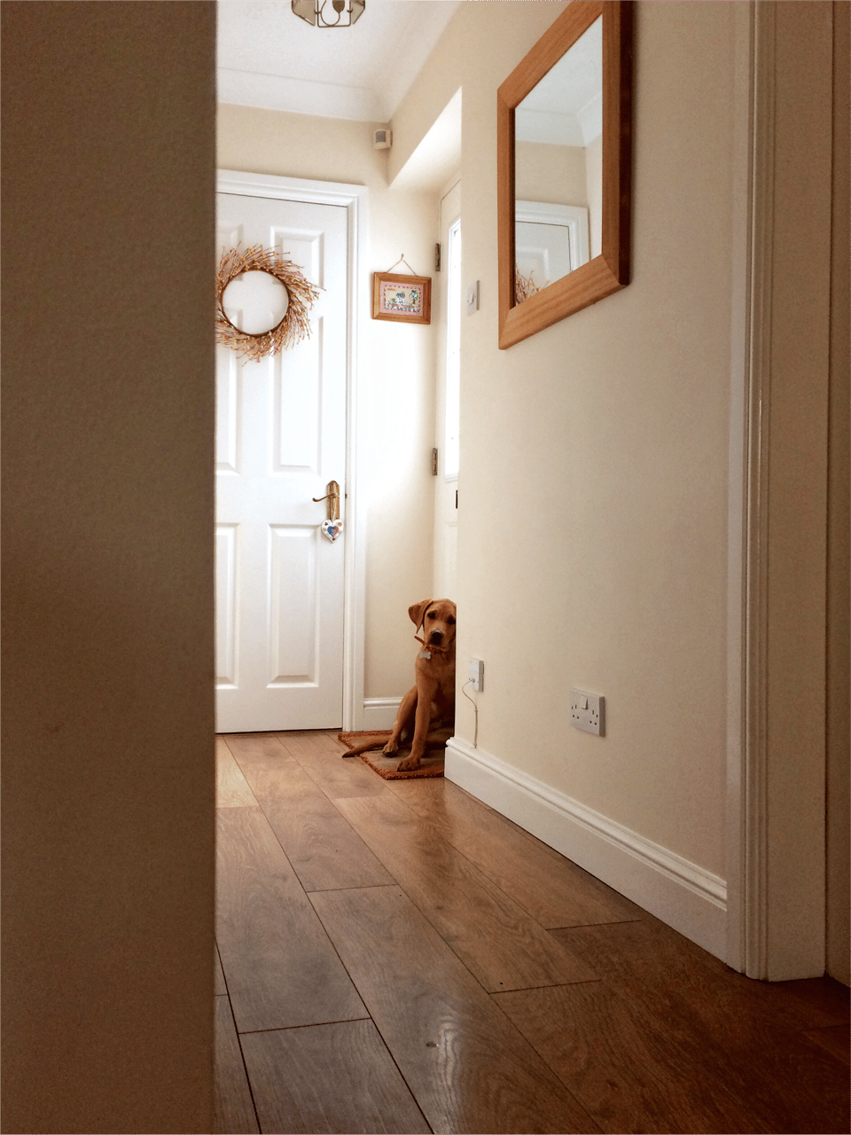 ENTRANCE HALL Walls check-in Entrance hall walls check-in photograph